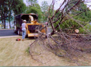 St. Croix Brush Hauling and Chipping